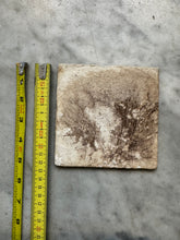 Afbeelding in Gallery-weergave laden, T106) Delft 18 th century bible tile
