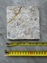 Afbeelding in Gallery-weergave laden, T154)rare 17 th century tile with elephant
