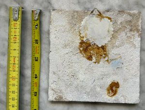 T68)17 th century tile with island and gallows