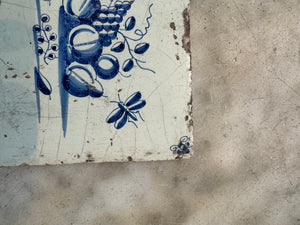 T10)17 th century delft handpainted tile with fruit