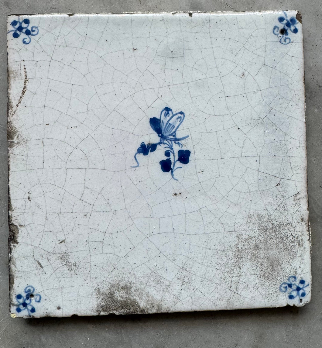 T92)17 th century delft tile with butterfly