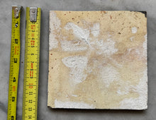 Load image into Gallery viewer, T92)17 th century delft tile with butterfly
