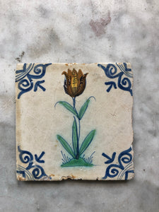 17th century delft tile with tulip