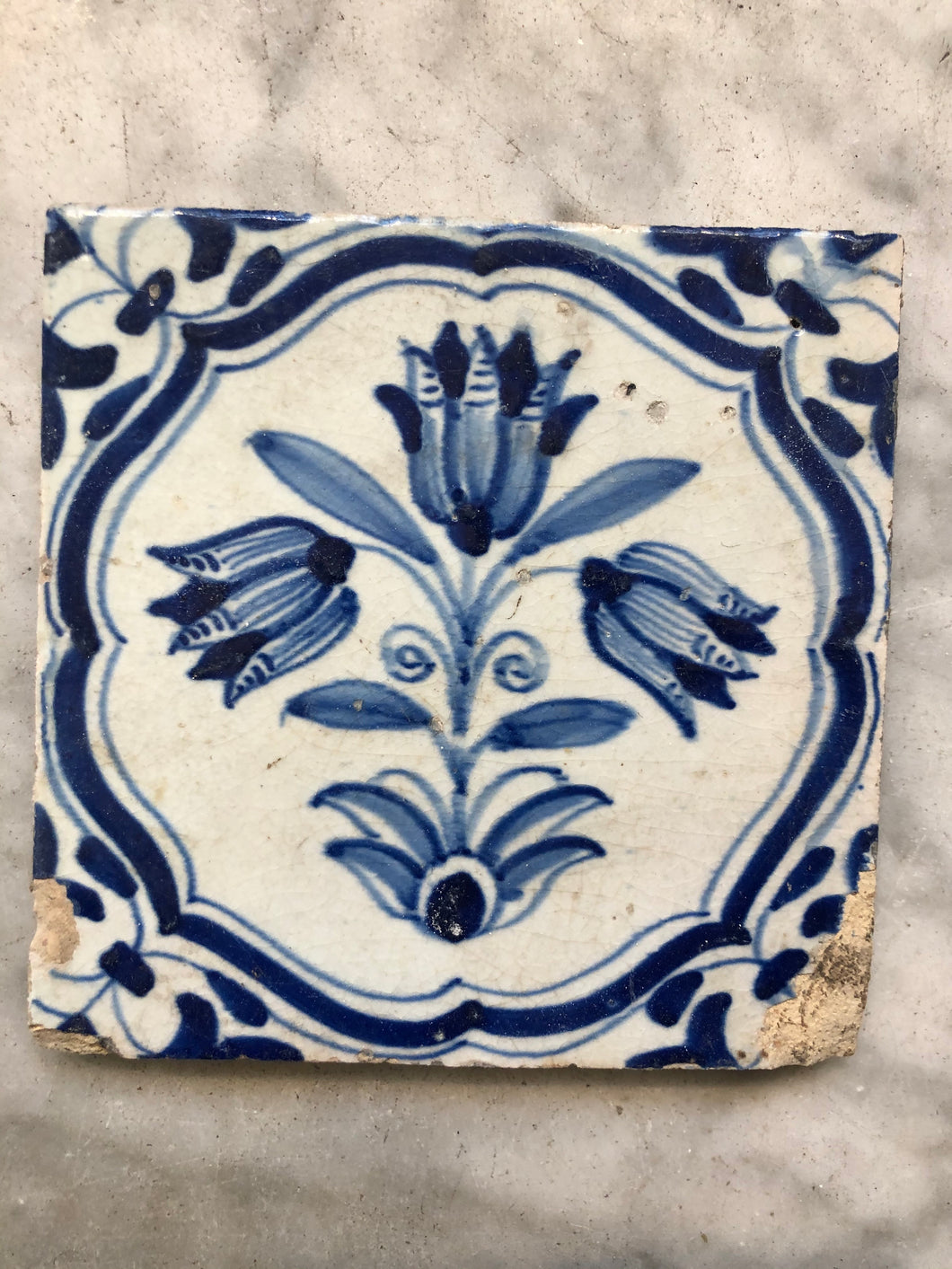 17 th century delft tile with flower/ tulips